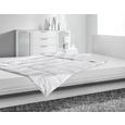 Steppelt Paplan Eco - Textil (135/200cm) - Premium Living Steppelt Paplan Eco - Textil (135/200cm) - Premium Living