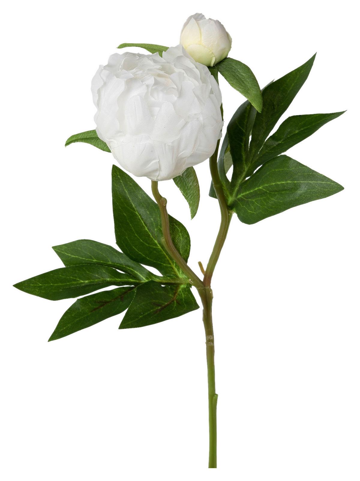 Pfingstrose Peonie I Grün/Weiß - Weiß/Grün, Basics, Kunststoff/Textil (46cm) - Mömax