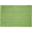 Badematte Peter Grün - Grün, Textil (50/70cm) - MÖMAX modern living
