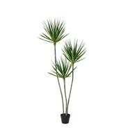 Plantă artificială Elija - Basics (80/80/160cm)