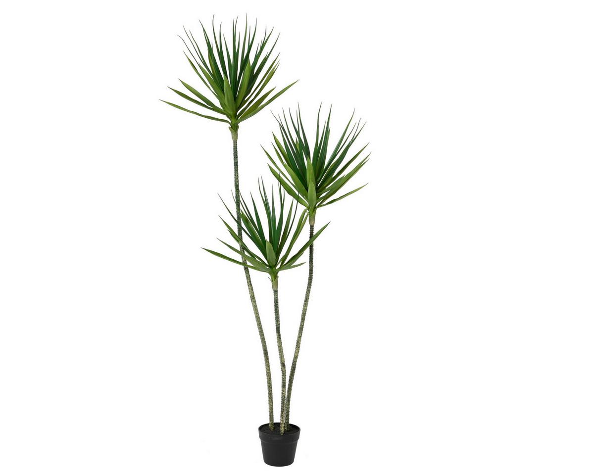 Plantă artificială Elija - Basics (80/80/160cm)