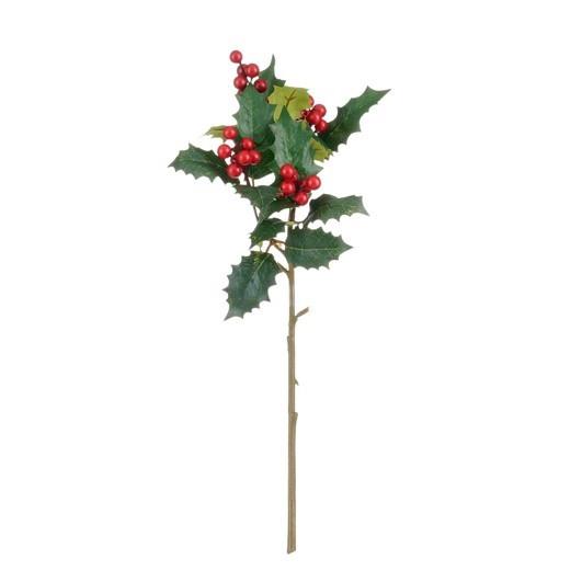 Okrasna Vejica Bodika - Moderno (43cm) - Mömax