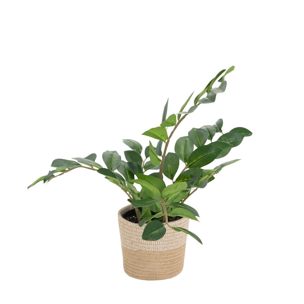 Umetna Rastlina Zamie - svetlo rjava/zelena, Basics, umetna masa/tekstil (50/50/50cm) - MID.YOU