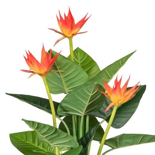Kunstpflanze Guzmania ca. 40cm - Schwarz/Orange, Trend, Kunststoff (40cm) - P & B