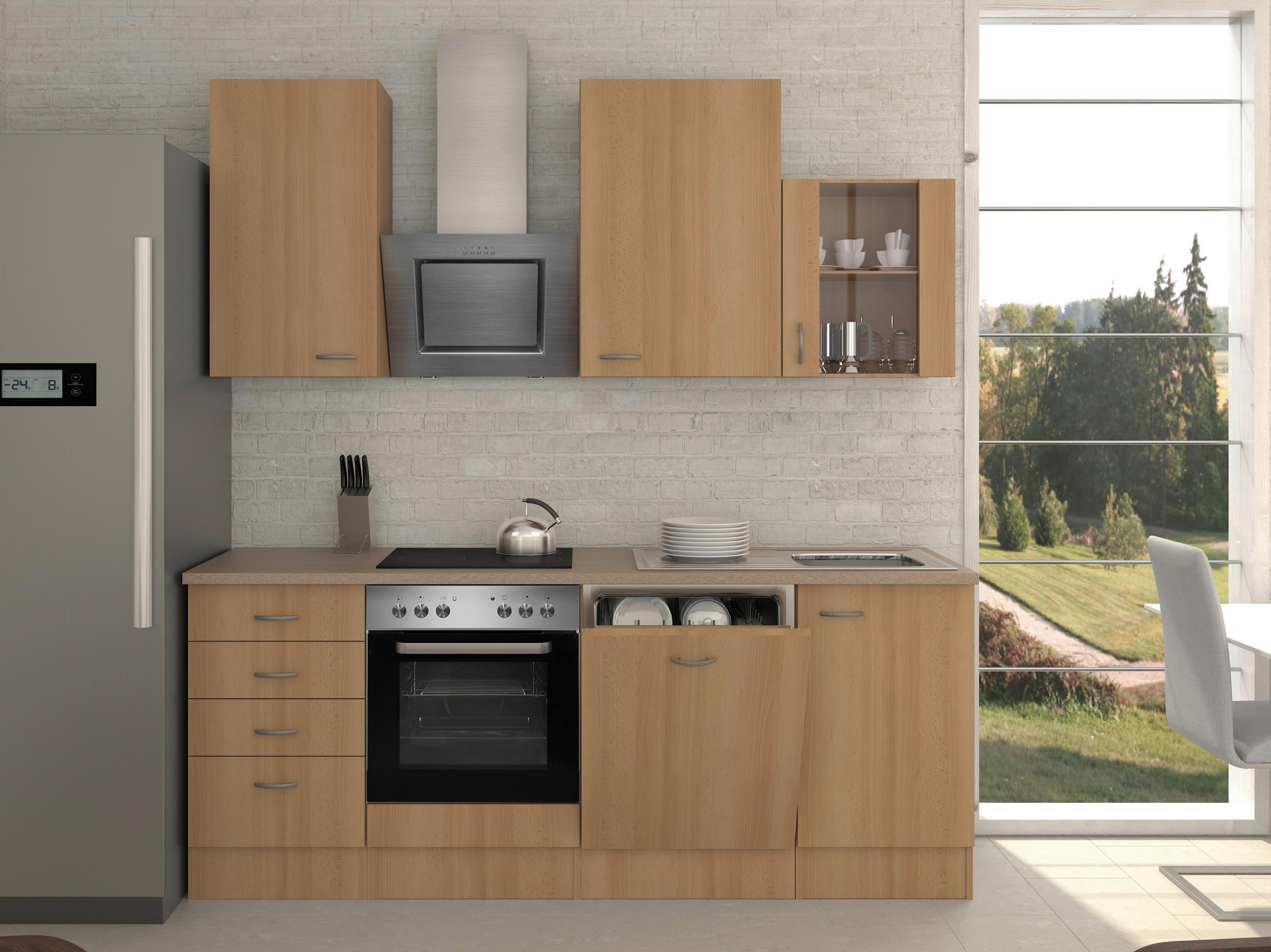 Kuhinjski Blok Z Aparati Nano, Barva Bukve - barve nerjavečega jekla/barve bukve, Moderno, umetna masa/steklo (220cm) - FlexWell