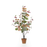 Umetna Rastlina Eukalyptus -Paz- - roza/barve korale, kovina/umetna masa (48/86cm) - Mömax