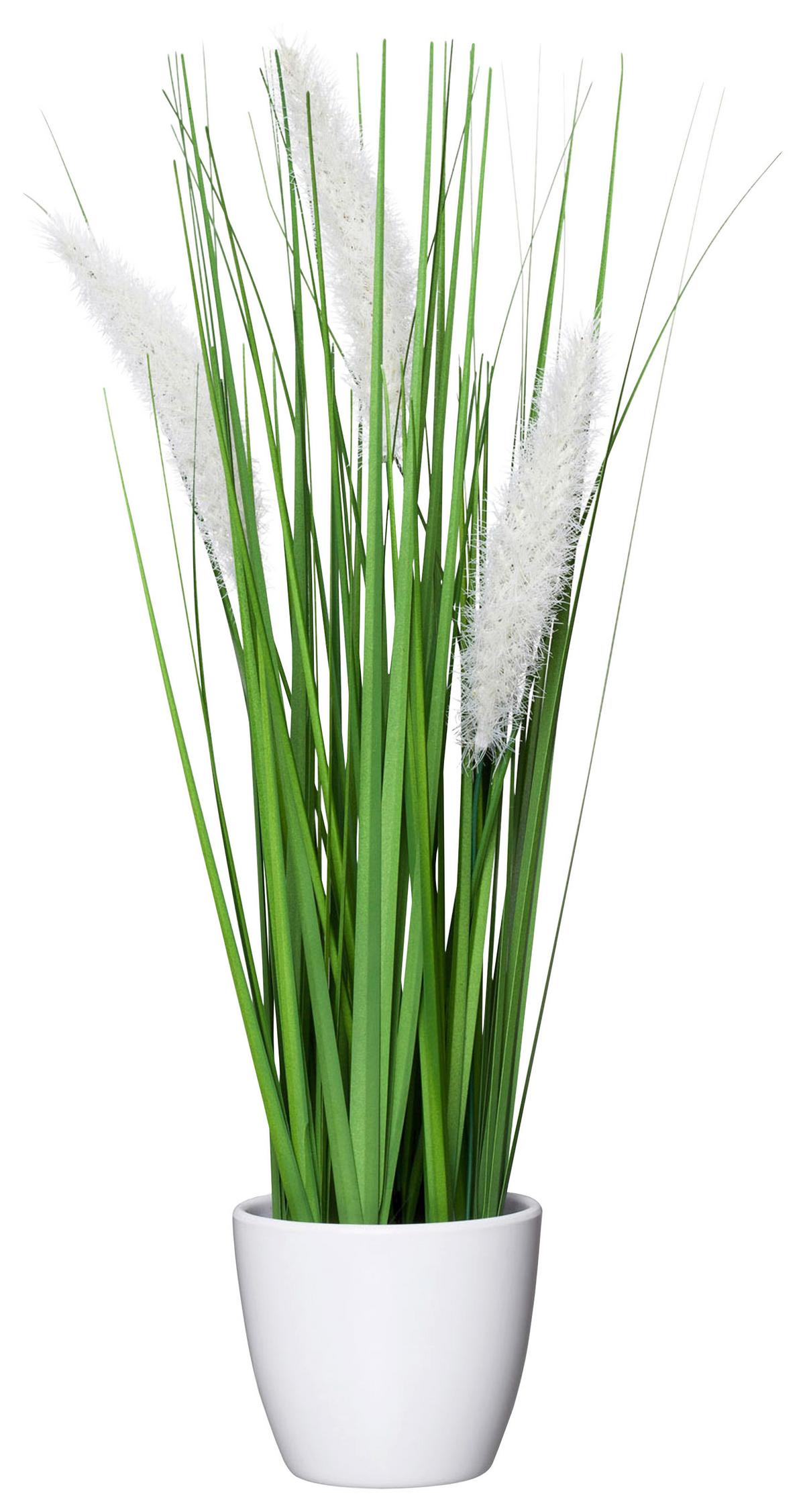 Šop Trave Jimmy - zelena, Konvencionalno, umetna masa (37cm) - Modern Living