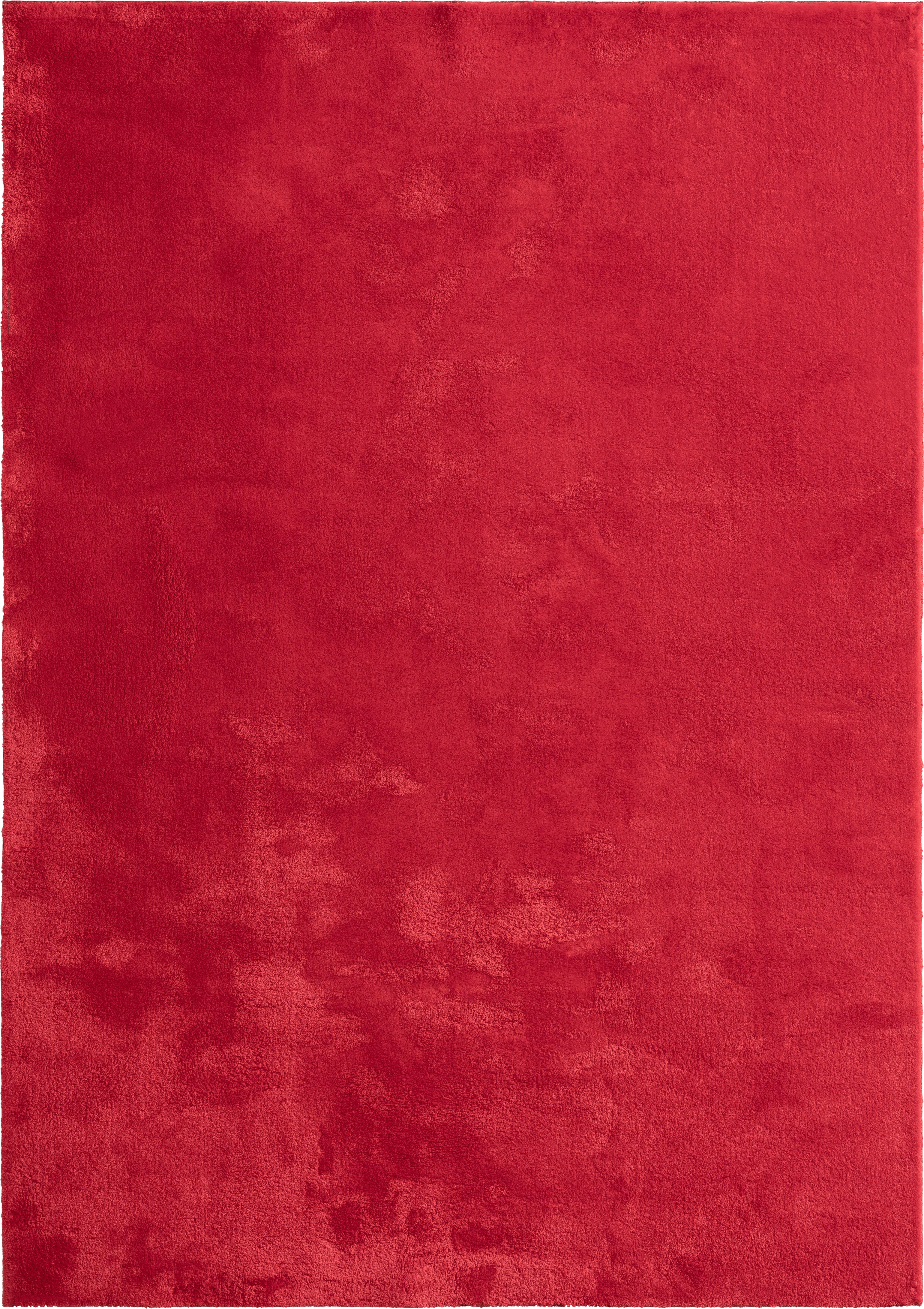 Fellteppich Loft Rot ca. 240x340cm - Rot, KONVENTIONELL, Textil (240/340cm)