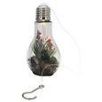 LED-Dekoleuchte Bettina verschiedene Designs - Glas/Kunststoff (9/9/18cm) LED-Dekoleuchte Bettina verschiedene Designs - Glas/Kunststoff (9/9/18cm)