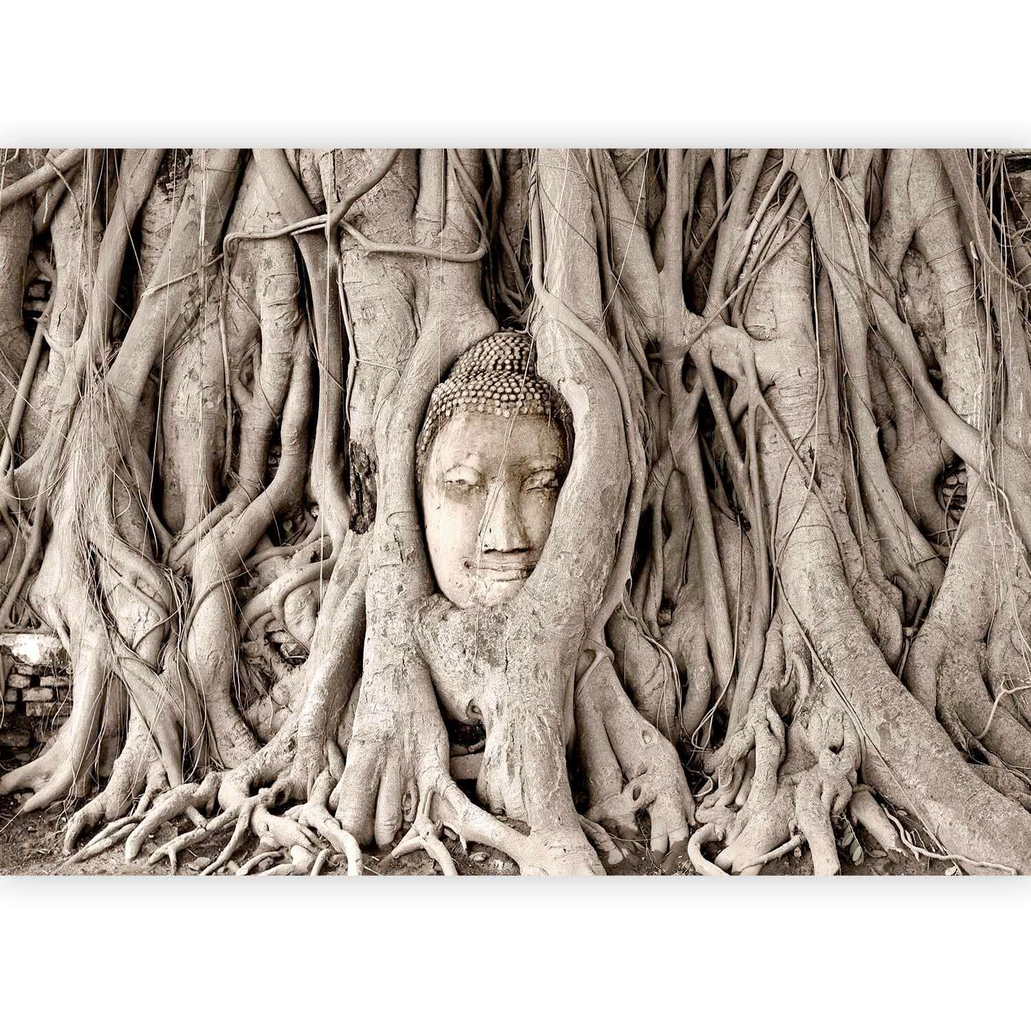 Fototapete Buddha´s Tree Braun - Braun, LIFESTYLE, Textil (250/175cm) - artgeist