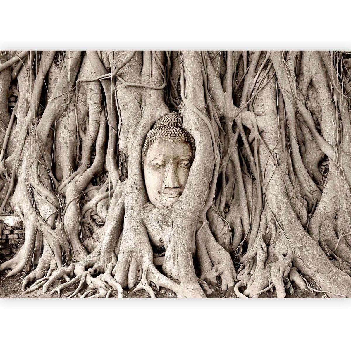 Fototapete Buddha´s Tree Braun - Braun, LIFESTYLE, Textil (150/105cm) - artgeist