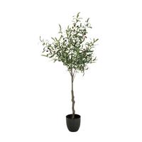 Umetna Rastlina Olive - črna/zelena, Basics, umetna masa (45/120/45cm) - MID.YOU