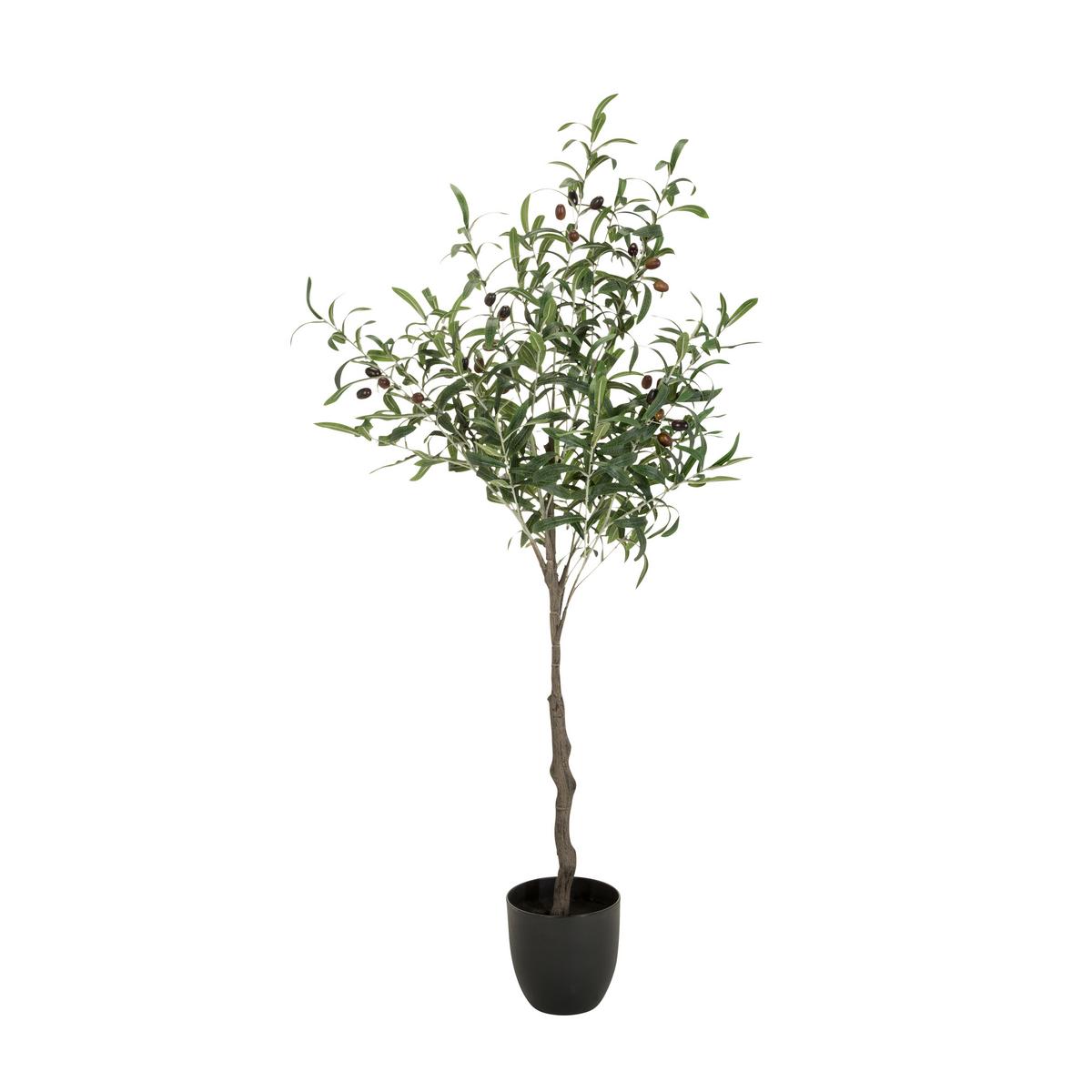 Umetna Rastlina Olive - črna/zelena, Basics, umetna masa (45/120/45cm) - MID.YOU