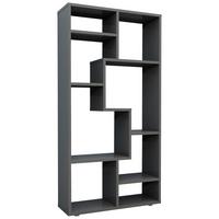 Regal Lanisa Anthrazit - Anthrazit/Grau, MODERN, Holzwerkstoff/Kunststoff (58/116/20cm) - MID.YOU