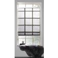 Plissee Free in Grau ca. 90x210cm - Grau, Textil (90/210cm) - Premium Living Plissee Free in Grau ca. 90x210cm - Grau, Textil (90/210cm) - Premium Living