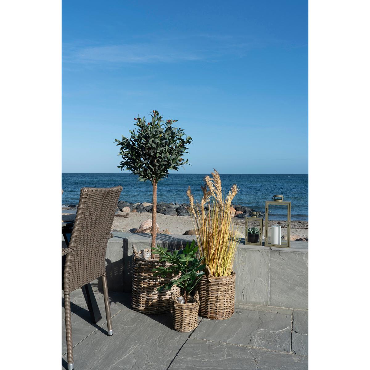 Korbset Sema Baskets Braun, 3er Set - Braun, Basics, Holz (41/49/41cm)