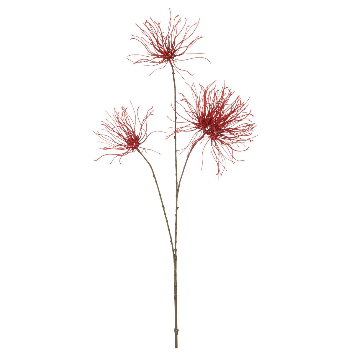 Plantă artificială Distelzweig I - maro/roșu, Basics, plastic (97cm) - Mömax