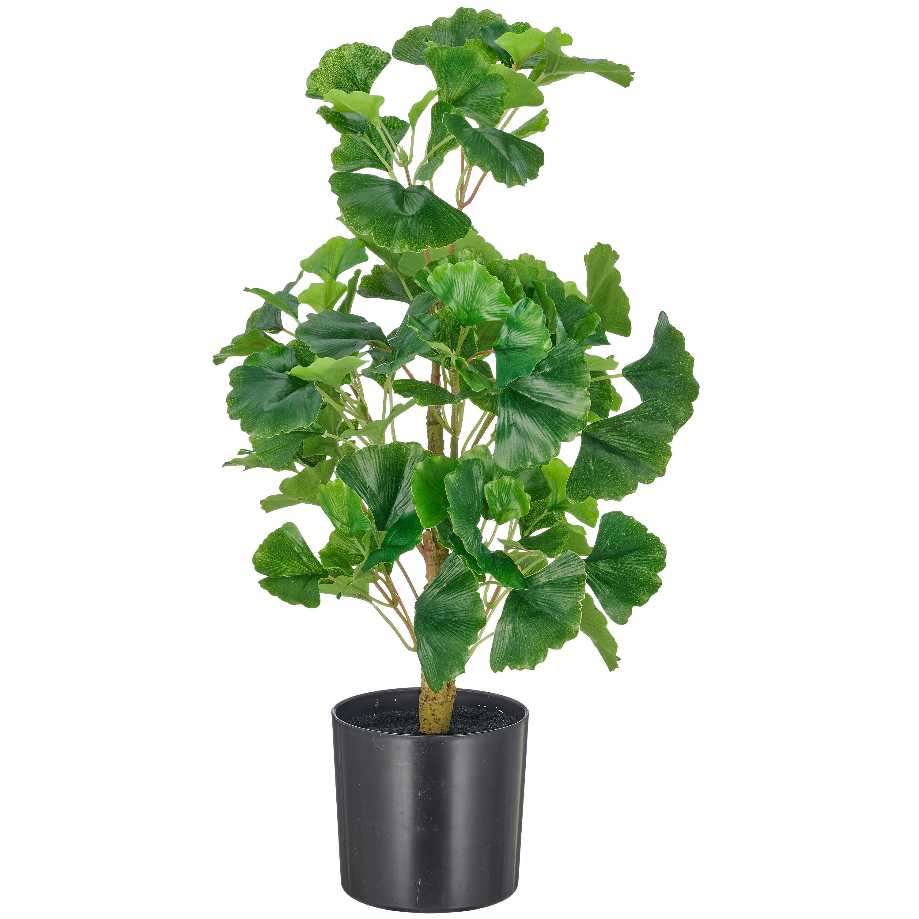 Kunstpflanze Grün/Hellbraun/Schwarz - Hellbraun/Schwarz, Basics, Kunststoff (53cm)