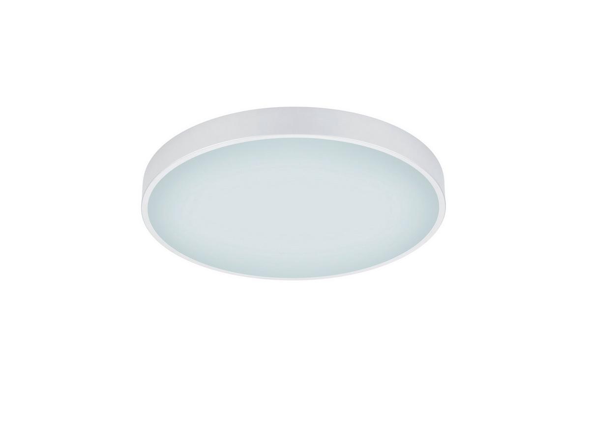 LED-Deckenleuchte Waco Weiß max. 52,50 Watt - Weiß, MODERN, Metall (49,5/6,5cm) - Trio Leuchten