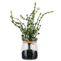 Biljka Umjetna Oregano - zelena/prozirno, Konvencionalno, staklo/plastika (18cm) - Mömax