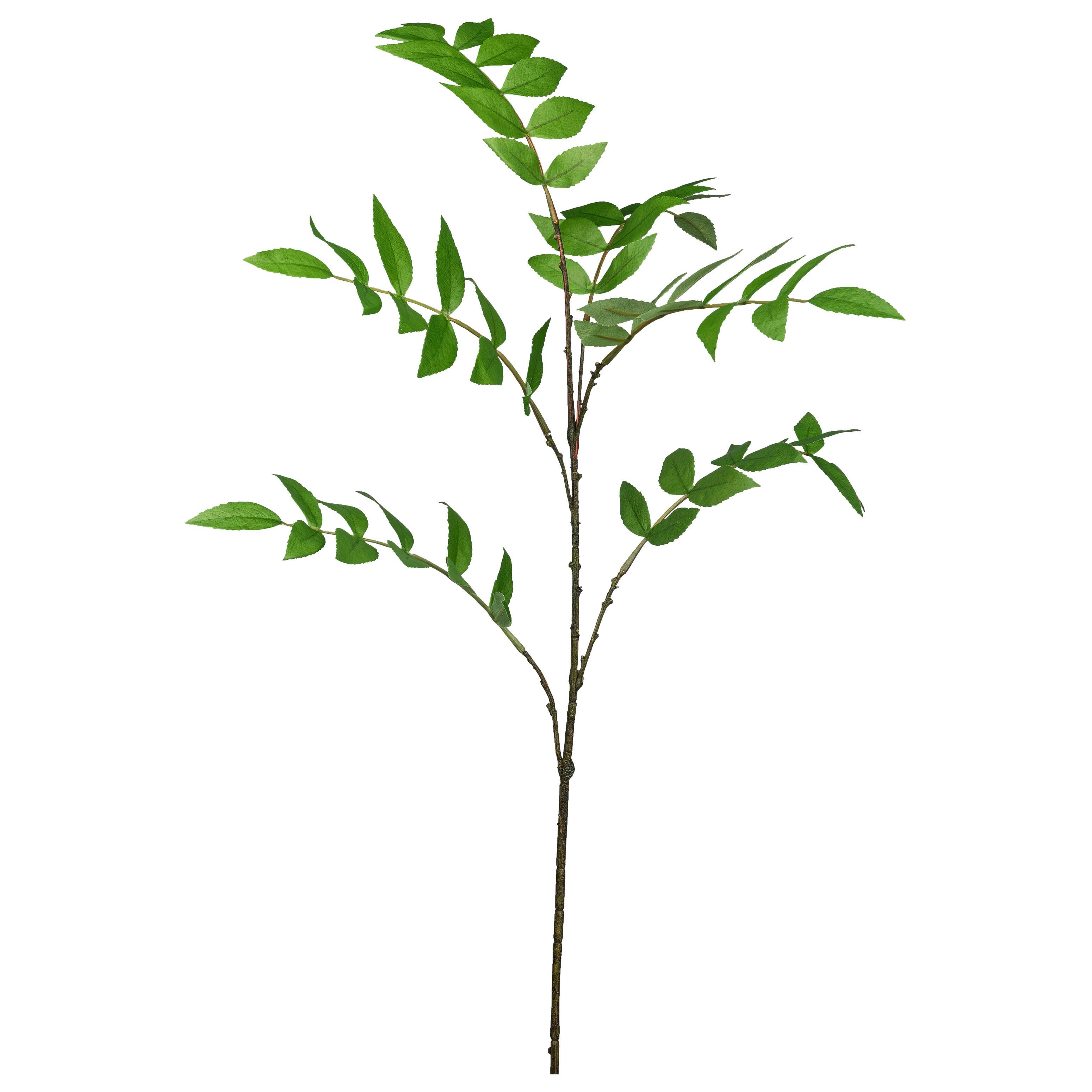 Okrasna Vejica Eberesche Ii - zelena/rjava, Konvencionalno, umetna masa (93cm) - Mömax