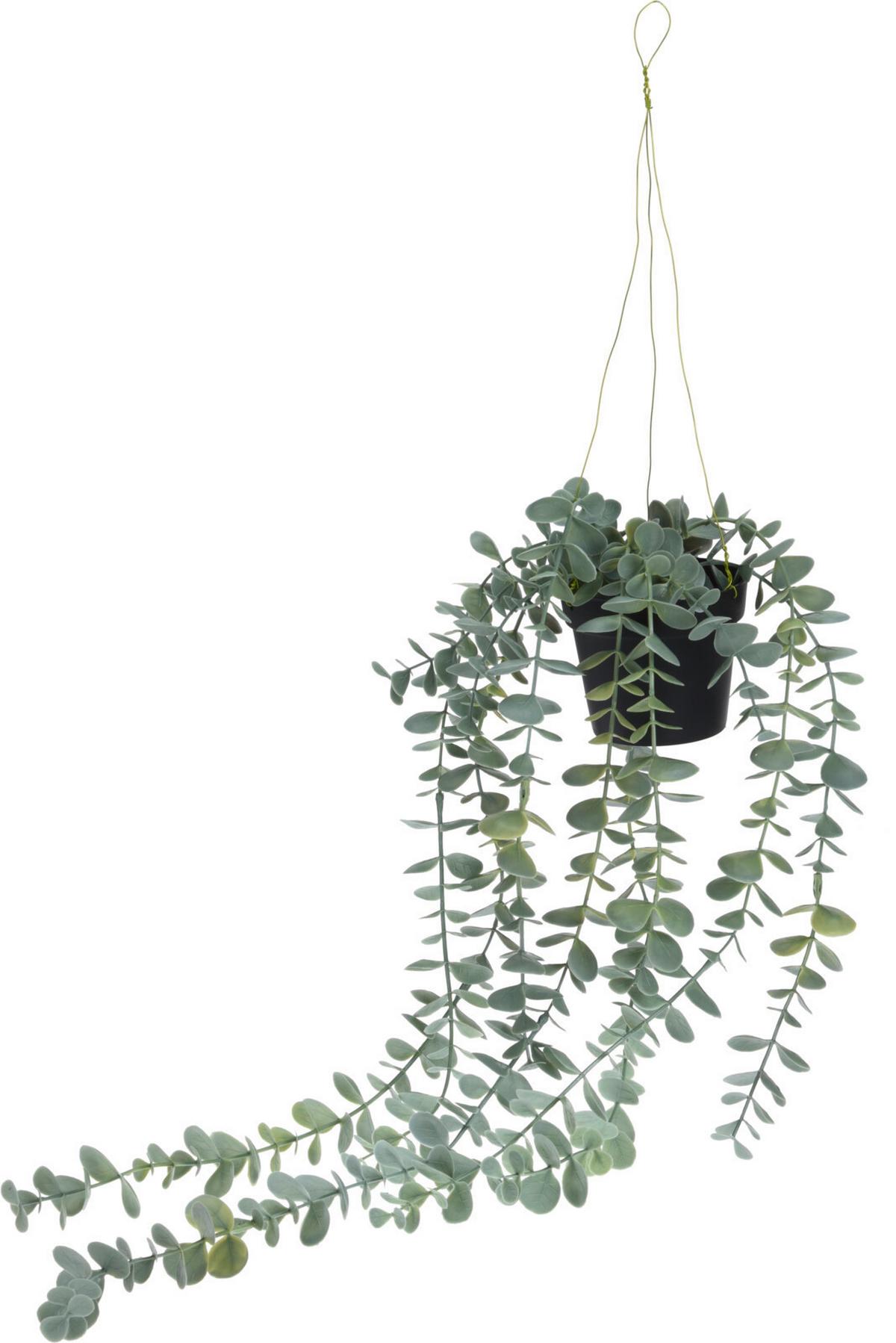 Műnövény Lang - zöld, műanyag (56cm)