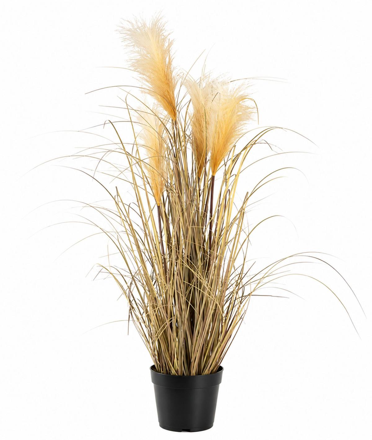 Kunstpflanze Pampasgras I In Naturfarben - Naturfarben, Modern, Kunststoff (92cm) - Modern Living