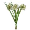 Umetna Rastlina Allium I - bela/zelena, Konvencionalno, umetna masa (28cm) - Modern Living