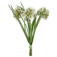 Umetna Rastlina Allium I - bela/zelena, Konvencionalno, umetna masa (28cm) - Modern Living