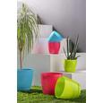 Übertopf Aylin in verschiedenen Farben - Blau/Rosa, Kunststoff (22,5cm) - MÖMAX modern living