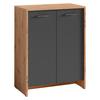 Schuhschrank Ben ca.63x83x35cm Anthrazit - Anthrazit/Eiche Artisan, MODERN, Holzwerkstoff/Kunststoff (63/83/35cm) - MID.YOU