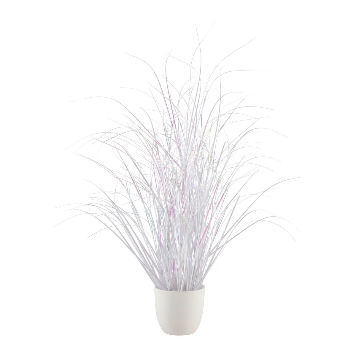 Grasbündel Shiny I Weiß - Weiß, Basics, Kunststoff (57cm) - Mömax