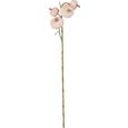 Dekozweig Liam in Rosa - Rosa/Braun, MODERN, Kunststoff/Metall (63cm)