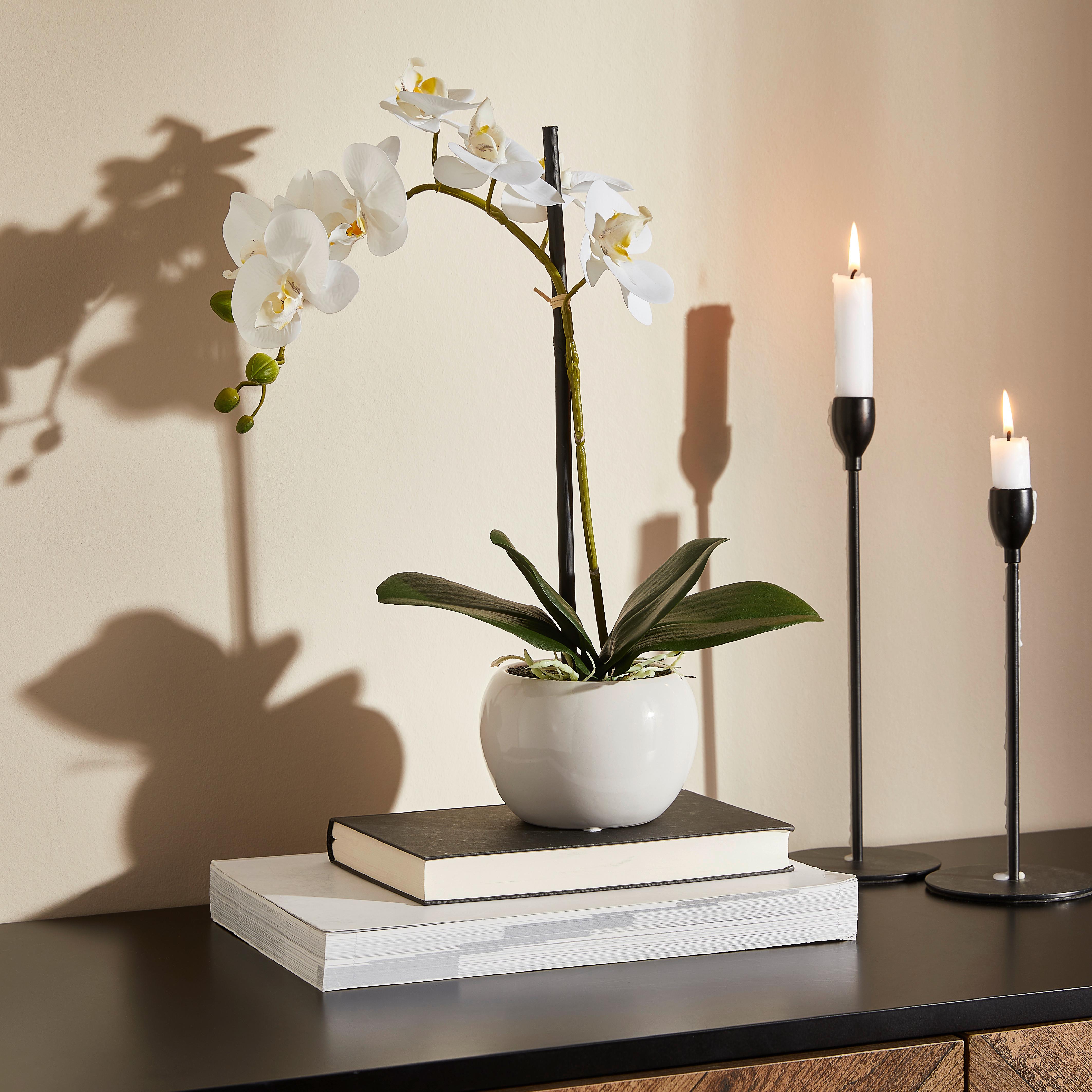ORCHIDEA 1203-778 - zielony/kolor srebrny, Basics, tworzywo sztuczne/ceramika (45cm)