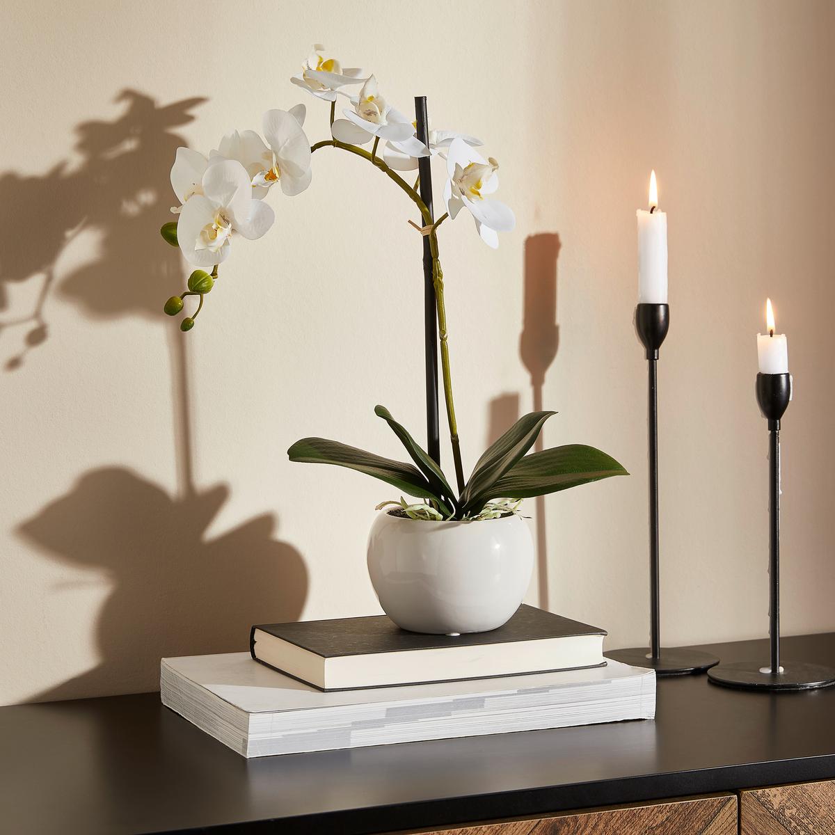 ORCHIDEA 1203-778 - zielony/kolor srebrny, Basics, tworzywo sztuczne/ceramika (45cm)