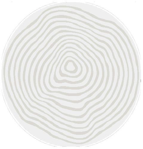 WEBTEPPICH ELIO 2325 160-CREAM - Creme, Basics, Textil (160cm) - Novel