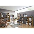 Eckschreibtisch Eichefarben - Eichefarben/Anthrazit, MODERN, Holzwerkstoff (135/75/114,5cm) - PREMIUM LIVING