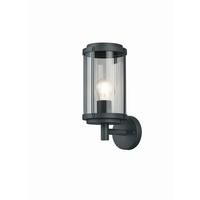 Außenwandleuchte Tanaro in Alufarben max. 40 Watt - Klar/Alufarben, KONVENTIONELL, Kunststoff/Metall (32,5/14,5/18,5cm) - Trio Leuchten