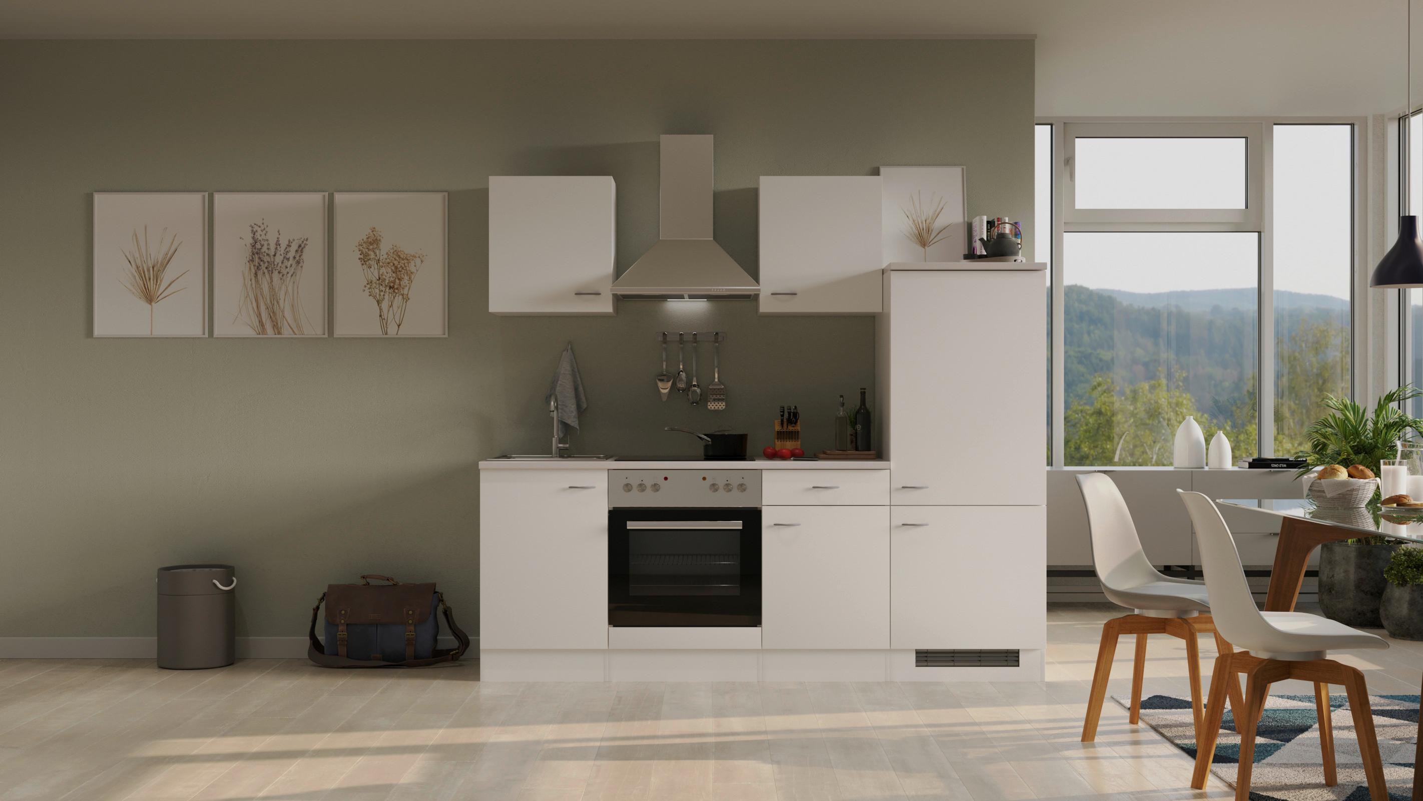 Kuhinjski Blok Wito, Bela - barve nerjavečega jekla/bela, Moderno, umetna masa/leseni material (220cm) - FlexWell