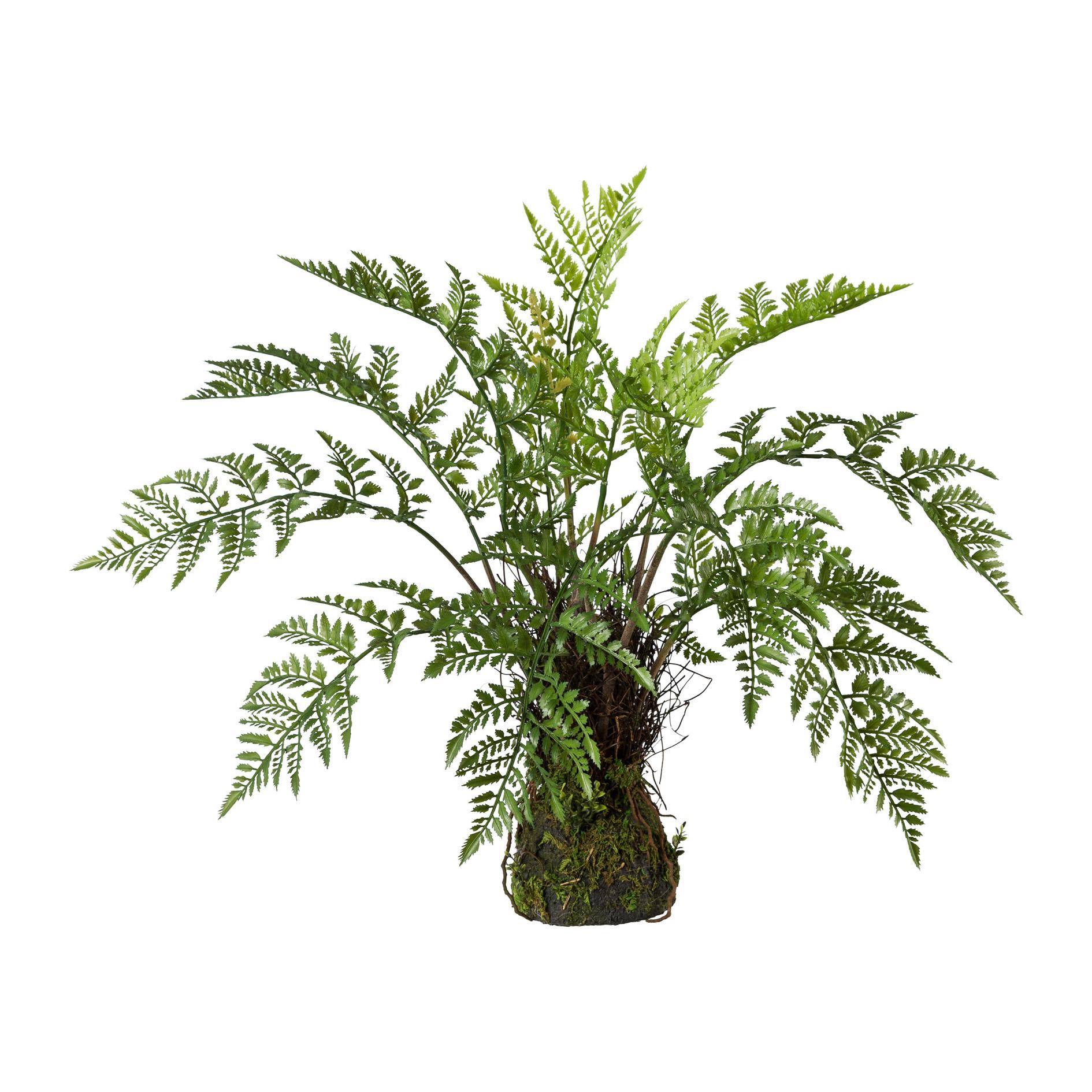 Kunstpflanze Farn in Grün ca. 50cm - Braun/Grün, Trend, Kunststoff (60/50cm) - MID.YOU