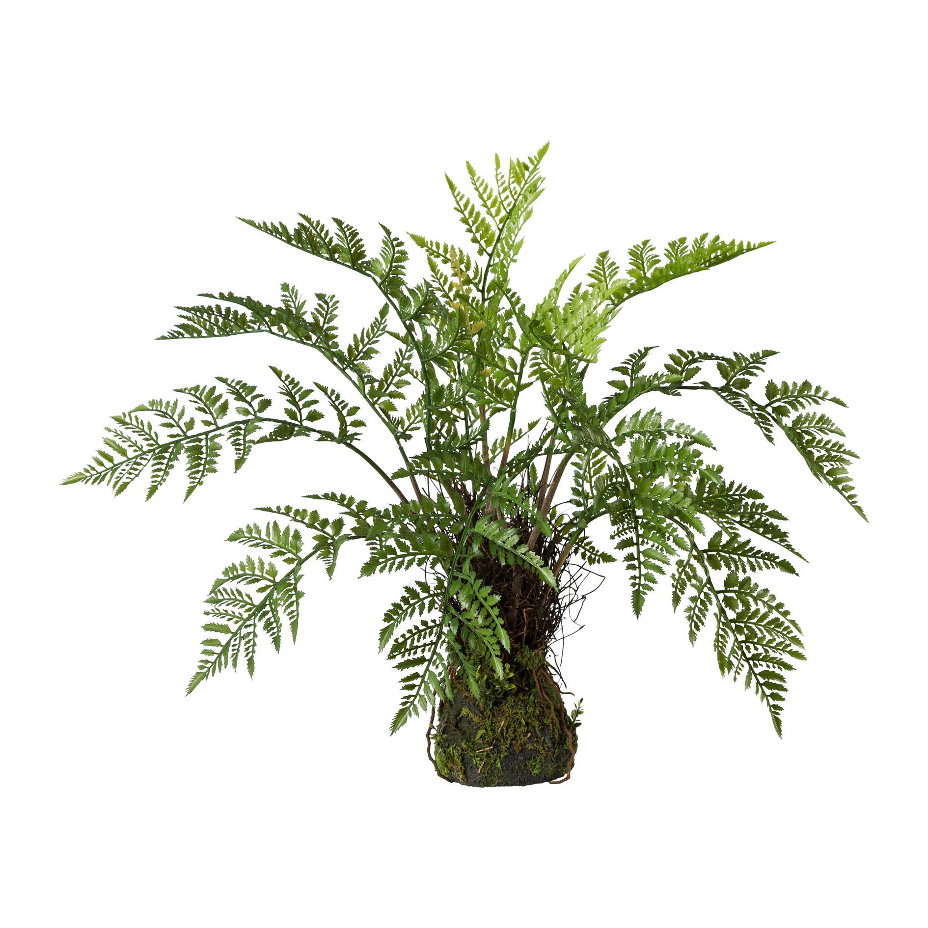 Kunstpflanze Farn in Grün ca. 50cm - Braun/Grün, Trend, Kunststoff (60/50cm) - P & B