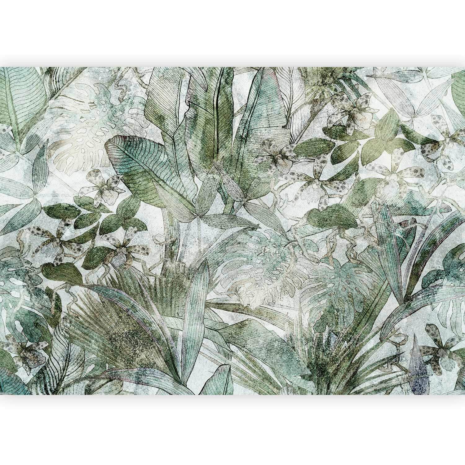 Fototapeta Light Dew, 100x70cm - zelena/sivobela, Trendi, tekstil (100/70cm) - artgeist