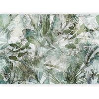 Fototapeta Light Dew, 300x210cm - zelena/sivobela, Trendi, tekstil (300/210cm) - artgeist