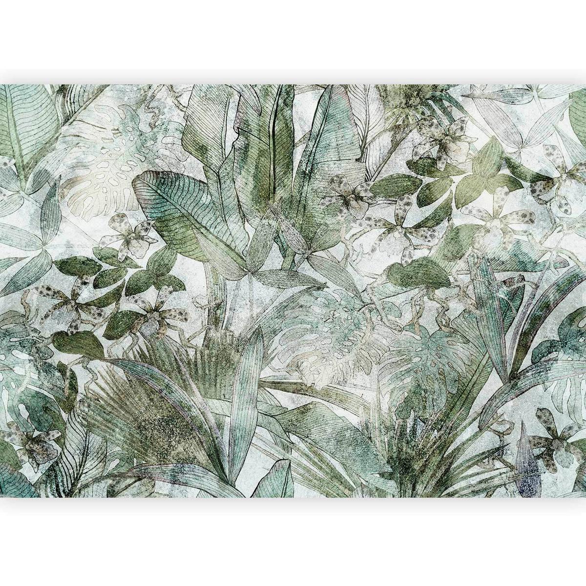 Fototapeta Light Dew, 300x210cm - zelena/sivobela, Trendi, tekstil (300/210cm) - artgeist