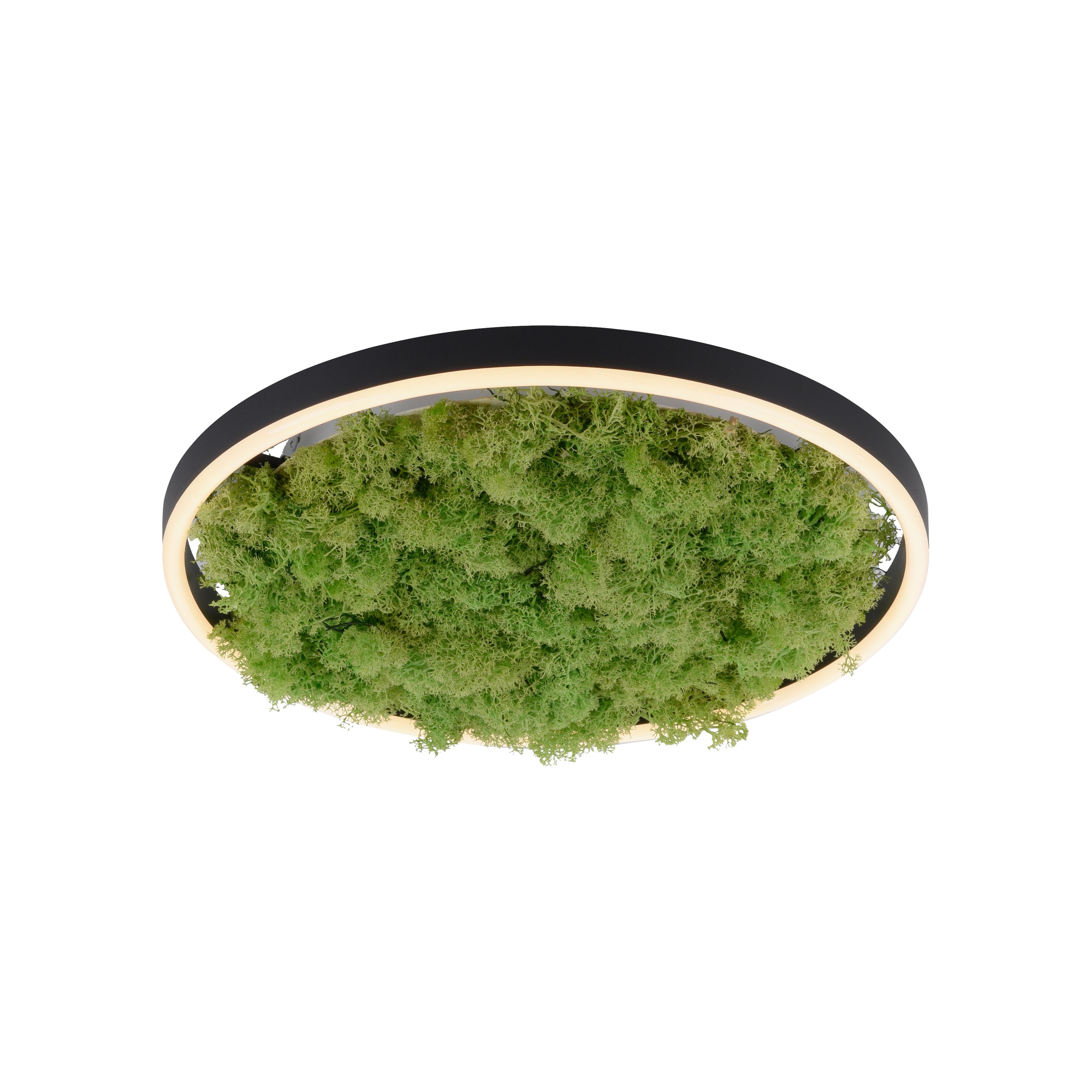 LAMPA SUFITOWA LED 15391-66 GREEN RITUS - kolor naturalny, Natur, tworzywo sztuczne/materiały naturalne (39,3/39,3/5,3cm)