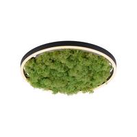 LAMPA SUFITOWA LED 15391-66 GREEN RITUS - kolor naturalny, Natur, tworzywo sztuczne/materiały naturalne (39,3/39,3/5,3cm)