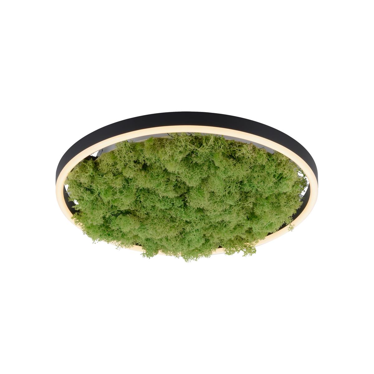 LAMPA SUFITOWA LED 15391-66 GREEN RITUS - kolor naturalny, Natur, tworzywo sztuczne/materiały naturalne (39,3/39,3/5,3cm)