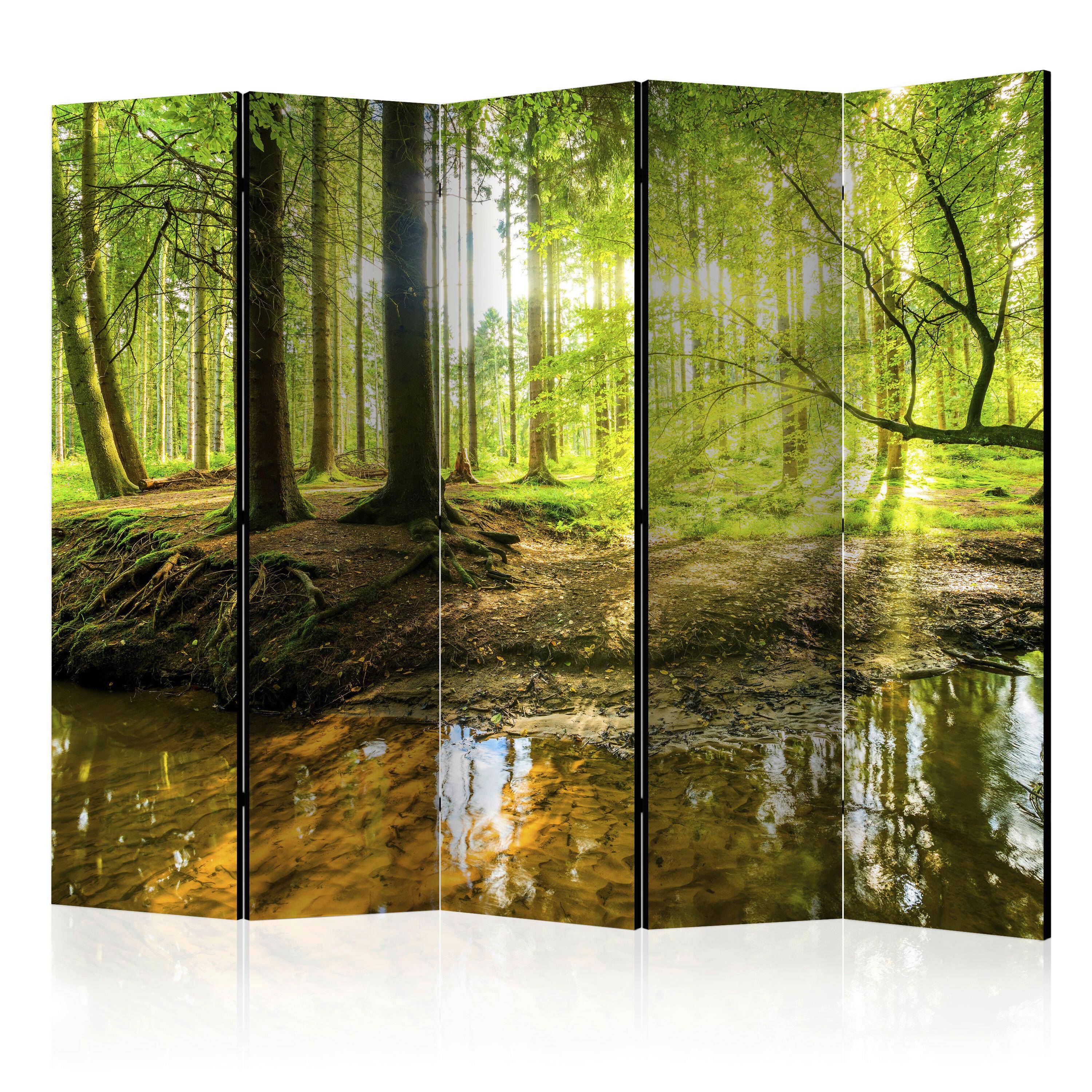 Paravan Forest Lake I, 5-Delni, Enostranski - zelena/rjava, Basics, tekstil/les (225/172/3cm) - artgeist