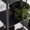 ÉTAGÈRE MATEA II -EXKLUSIV- - noir, MODERN, matériau en bois/métal (60/170/33cm) - Mömax