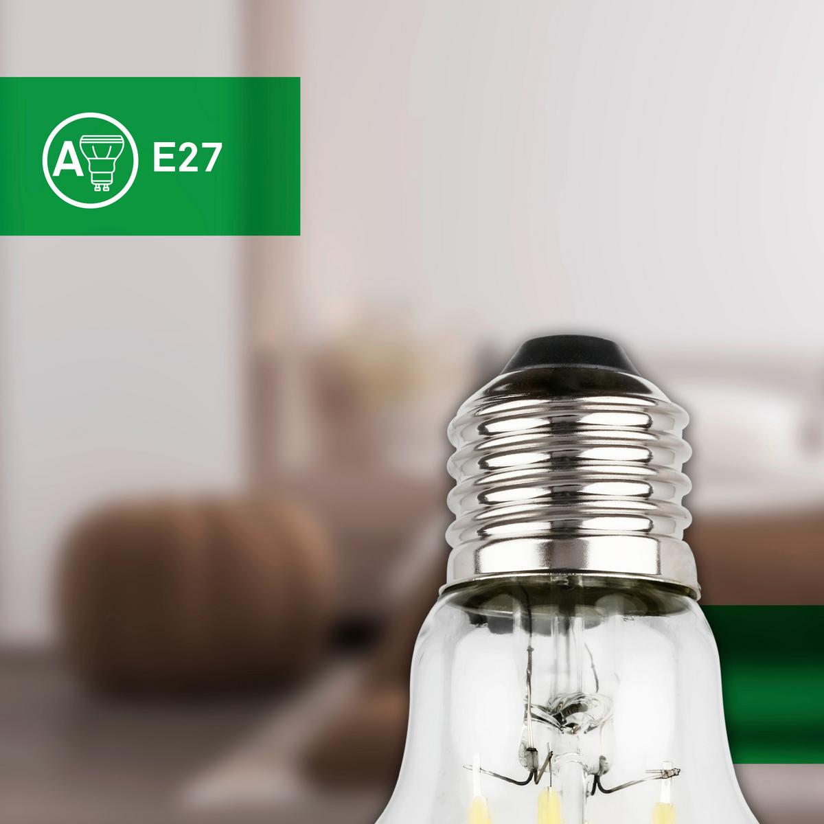 ŻARÓWKA LED 0551005 BULB A60 2ER SET - kolor srebrny, Basics, szkło (6/10.6cm)